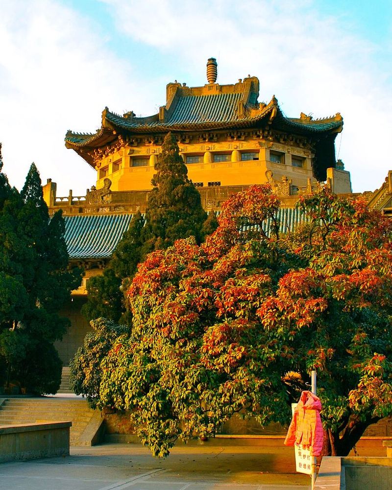The golden-roofed old library of Wuhan University surrounded by autumn trees.